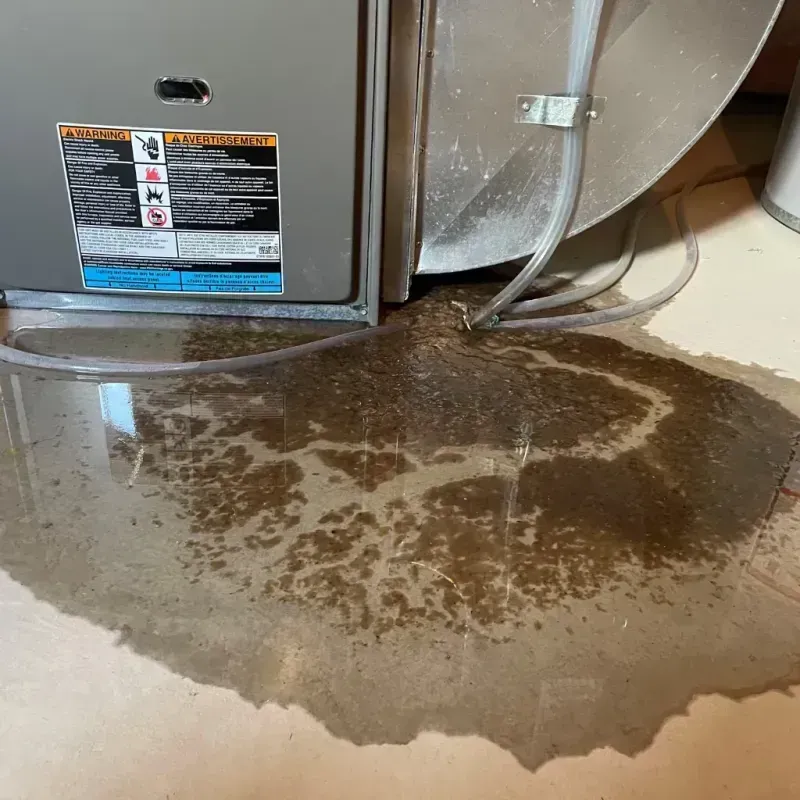 Appliance Leak Cleanup in La Cygne, KS